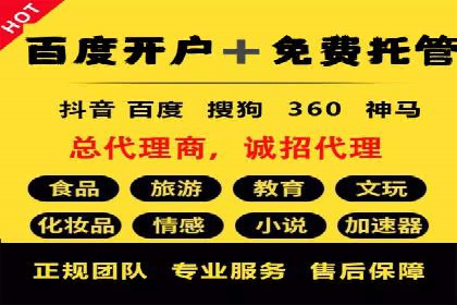 百度竞价代理全攻略：成功案例分享